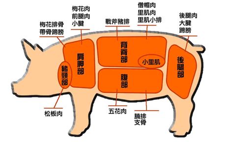 你豬道嗎|標示說什麼，你真的「豬」道嗎？ @ 食力foodNEXT‧食事求實的。